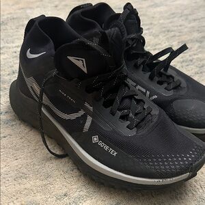 Nike Pegasus Gore-Tex Black Trail Running Shoes